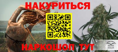 прущие грибы Жуковский